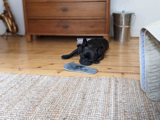 Bild von 92qm Bild von 92qm