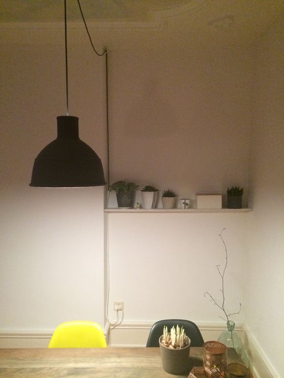 DIY Showbühne für Sukkulenten DIY Showbühne für Sukkulenten