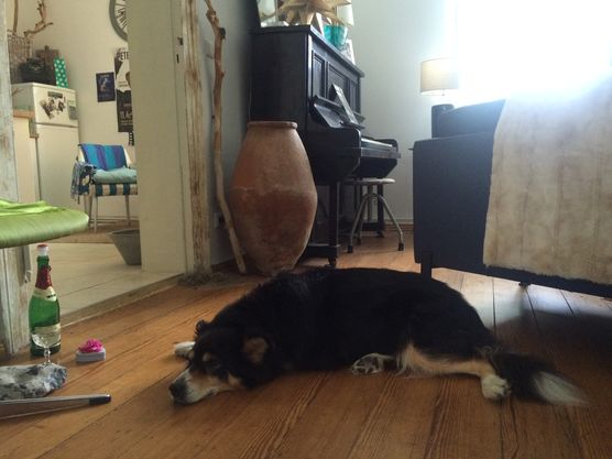 Bild von AugustineLaVie Bild von AugustineLaVie