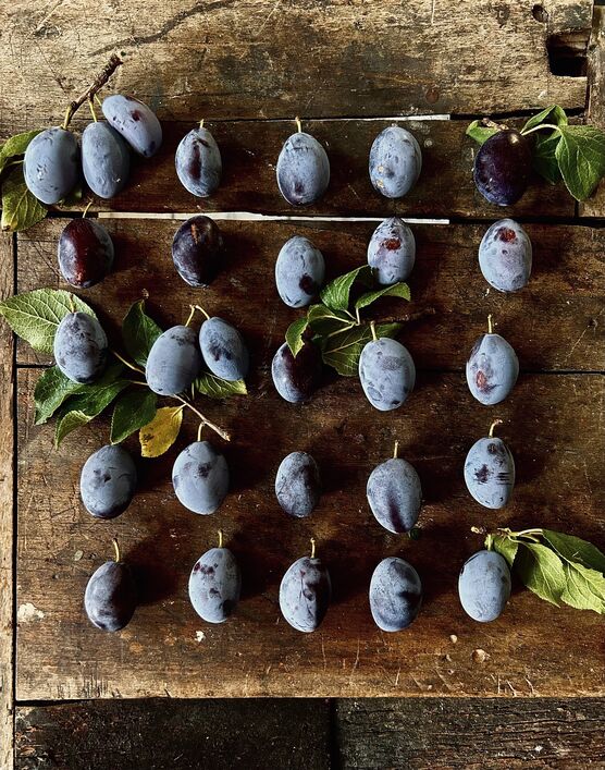 Sommerglück im Bauch 💜 Sommerglück im Bauch 💜