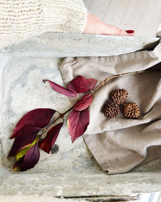 Im alten Häuschen wird Im alten Häuschen wird