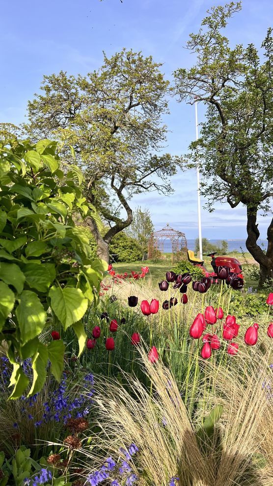 Hier auf der Insel Hier auf der Insel