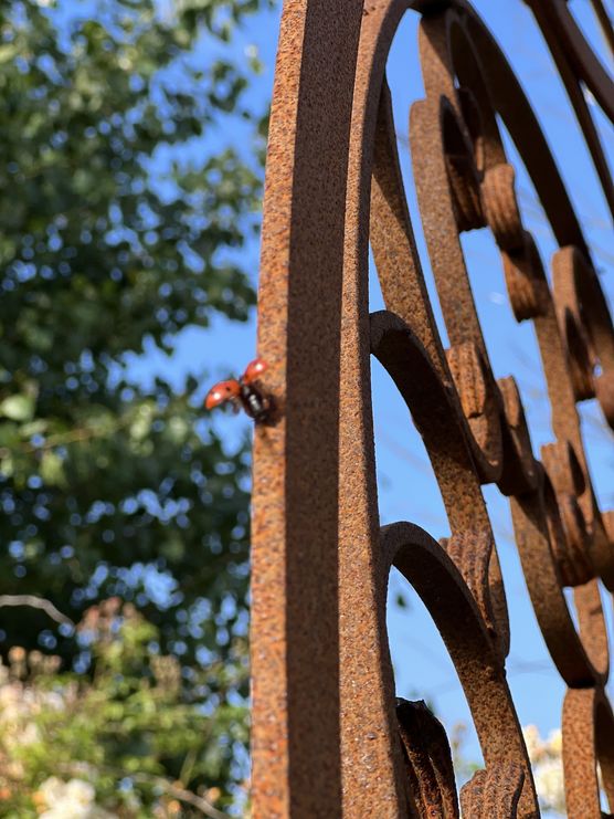 Unser neues Gartenpavillon hat Unser neues Gartenpavillon hat