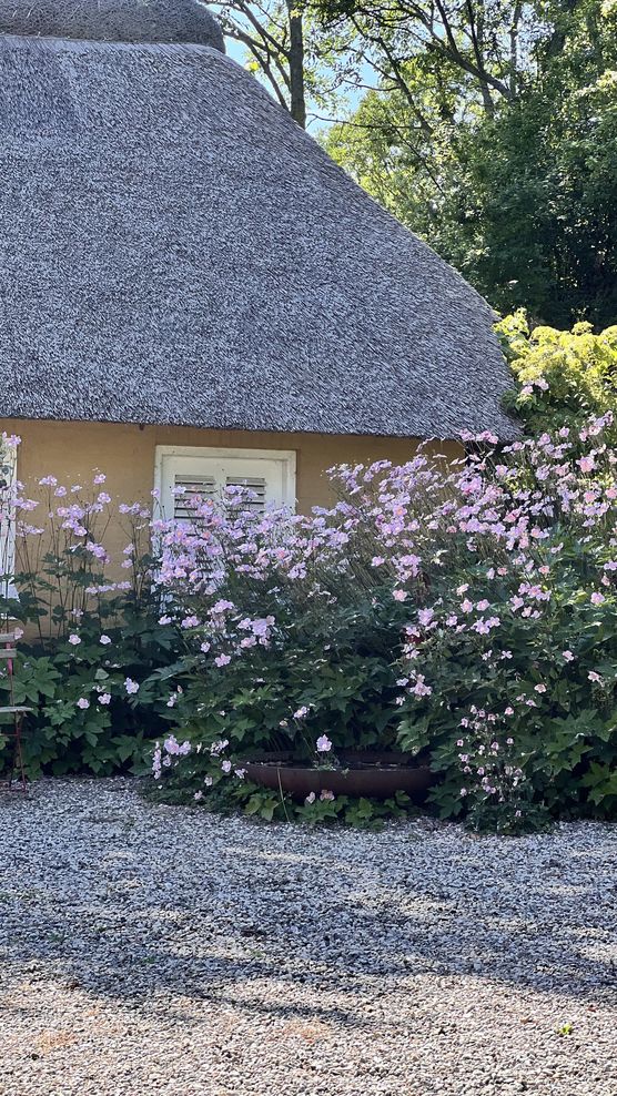 .. bis zum Dach.. .. bis zum Dach..