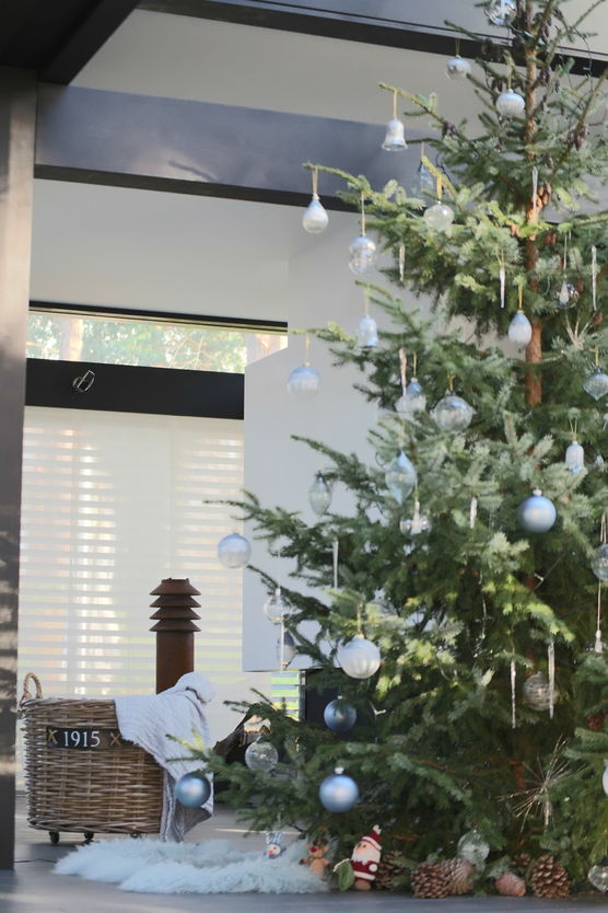 O Tannenbaum, o Tannenbaum…
Da O Tannenbaum, o Tannenbaum…
Da