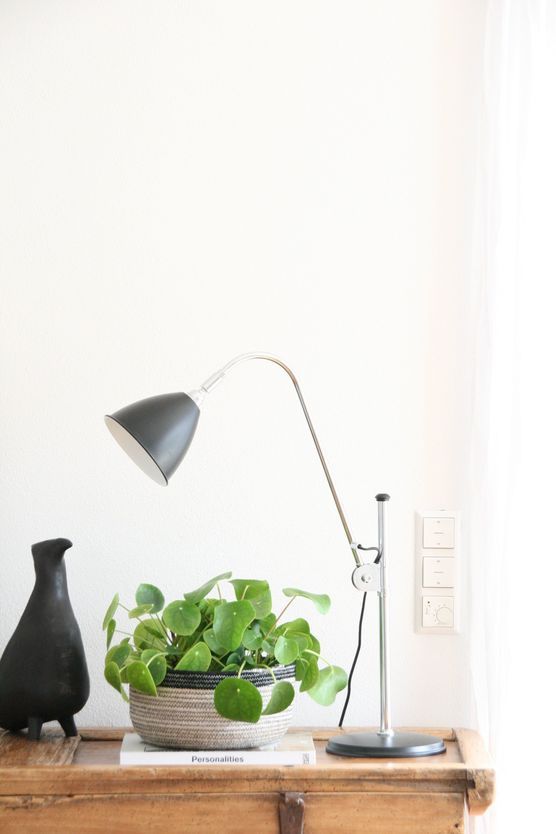 nicht immun nicht immun