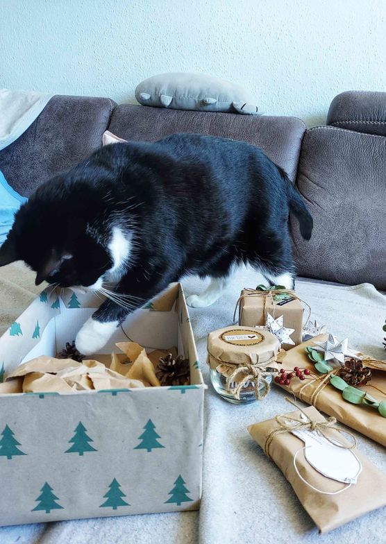 Bild von Aika3001 Bild von Aika3001