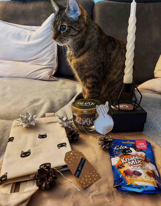 Bild von Aika3001 Bild von Aika3001