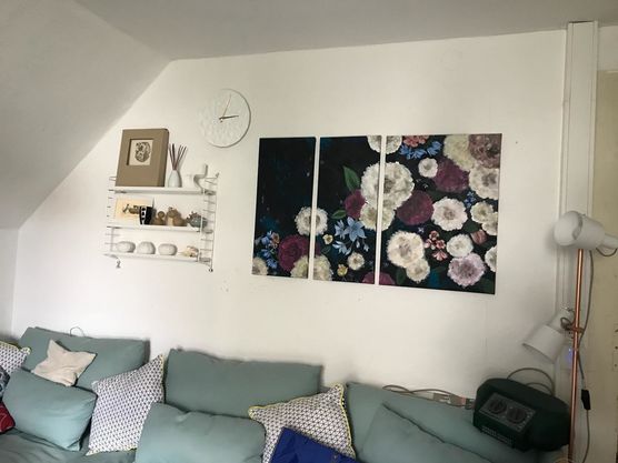 Meine Bilder aus der Meine Bilder aus der