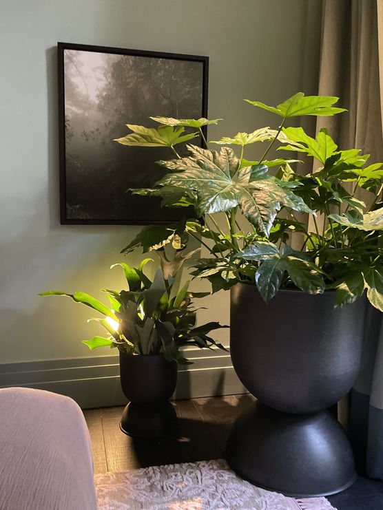 Ein Detail das mir Ein Detail das mir