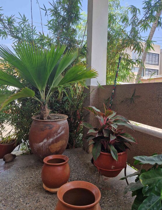 Bild von AccraHome Bild von AccraHome