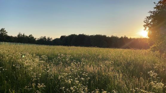 Bild von Scandiflair Bild von Scandiflair