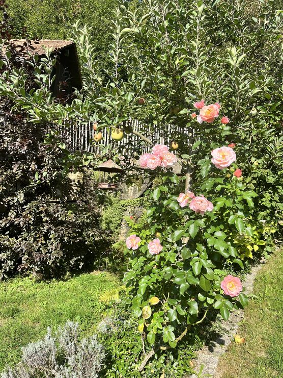 Bild von MariL Bild von MariL