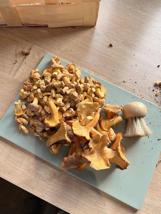 Bild von MariL Bild von MariL