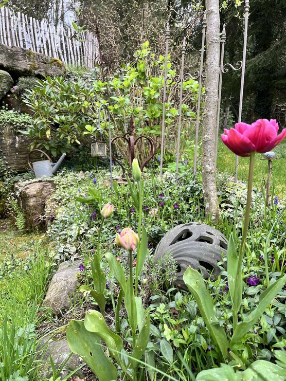 Bild von MariL Bild von MariL