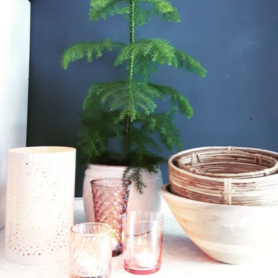 Lebenszeichen Lebenszeichen