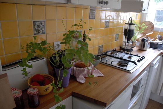 Pinnwand von Nicole Pinnwand von Nicole