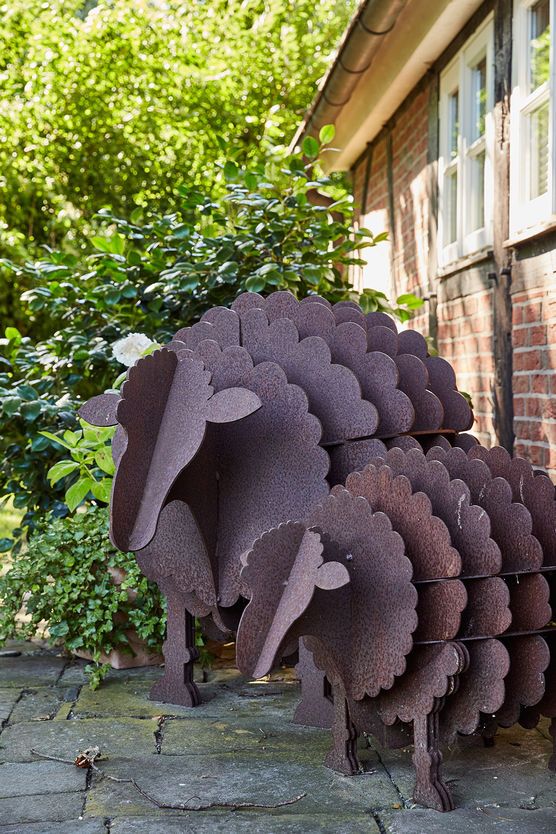 Hausschafe Hausschafe