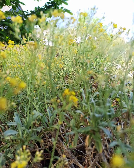 Bild von Mumle Bild von Mumle