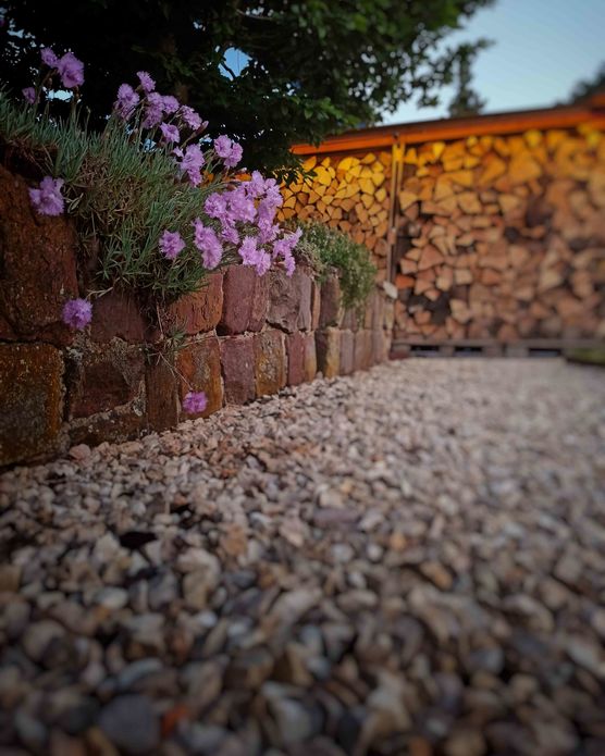 Bild von Mumle Bild von Mumle