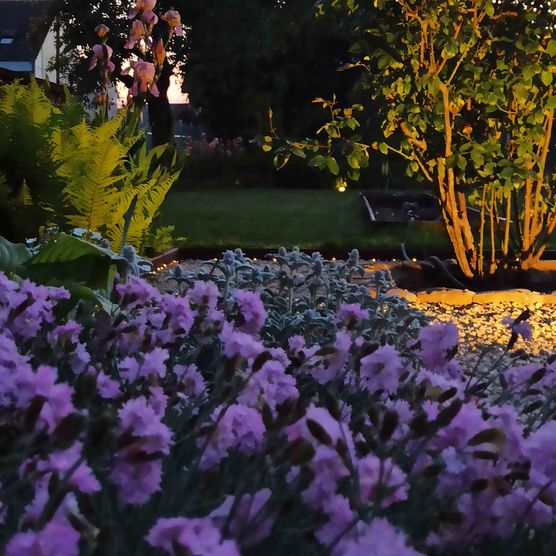 Bild von Mumle Bild von Mumle