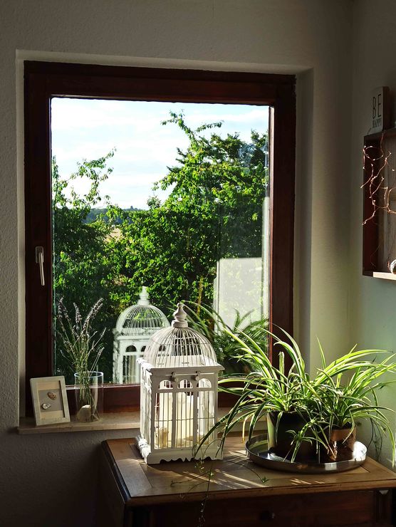 Bild von Mumle Bild von Mumle