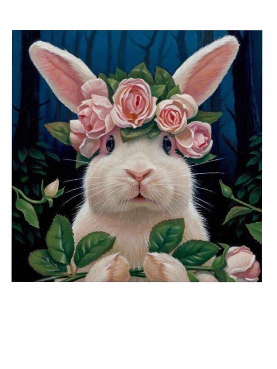 Bild von Nordic_casa_ Bild von Nordic_casa_