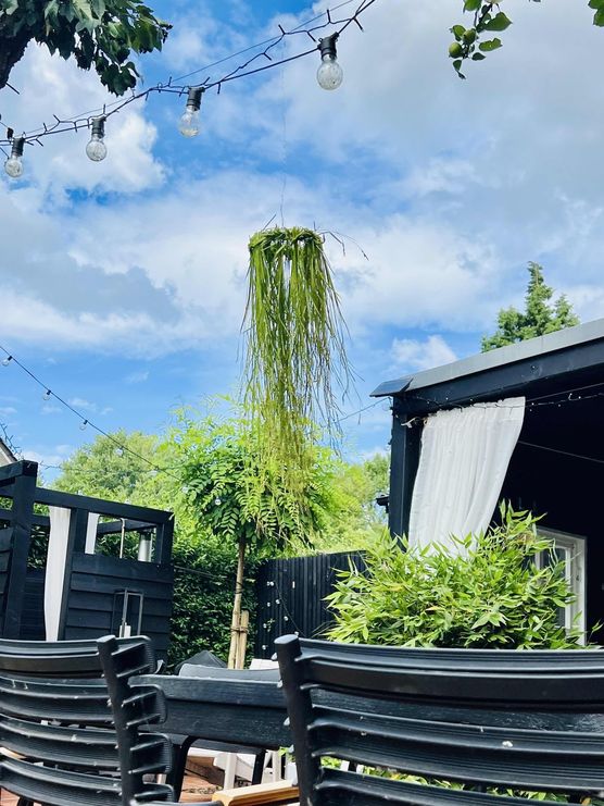 Bild von Nordic_casa_ Bild von Nordic_casa_