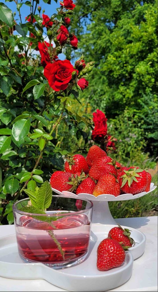 Bild von SvenjaH2012 Bild von SvenjaH2012