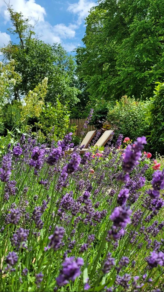 Bild von SvenjaH2012 Bild von SvenjaH2012