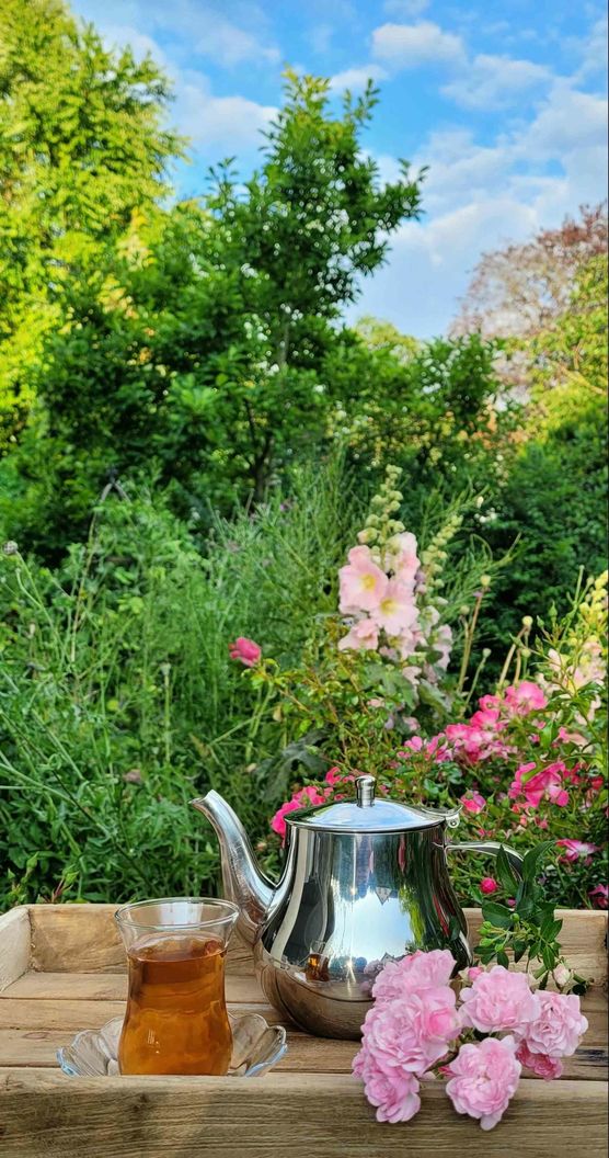 Bild von SvenjaH2012 Bild von SvenjaH2012