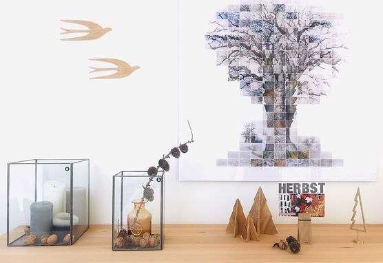 Ich schau auch mal Ich schau auch mal