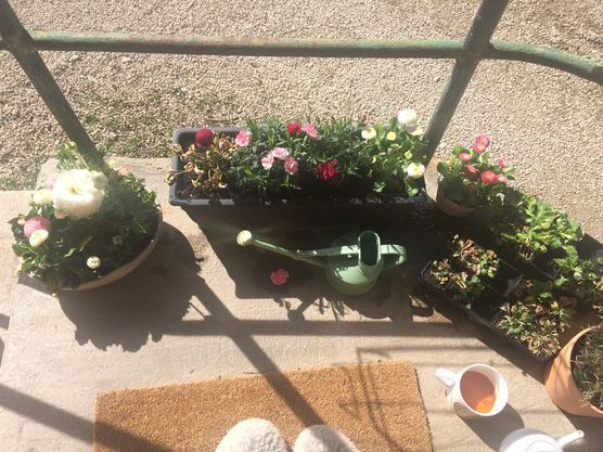 Erste Frühlingssonne Erste Frühlingssonne