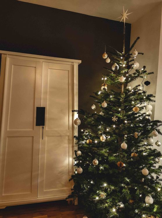 Bild von MaraZ Bild von MaraZ