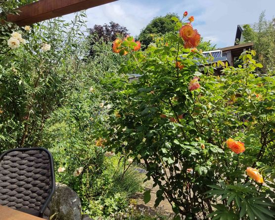 Bild von BiKa Bild von BiKa