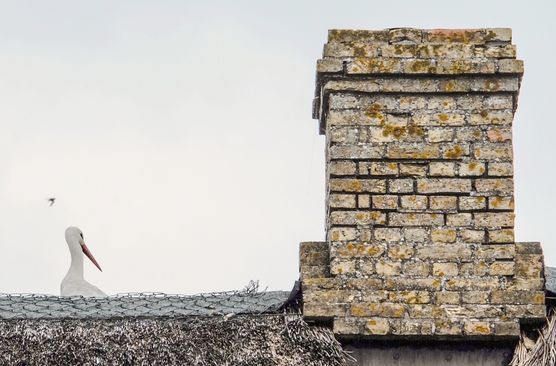 Besuch. Vorm Abflug. Besuch. Vorm Abflug.