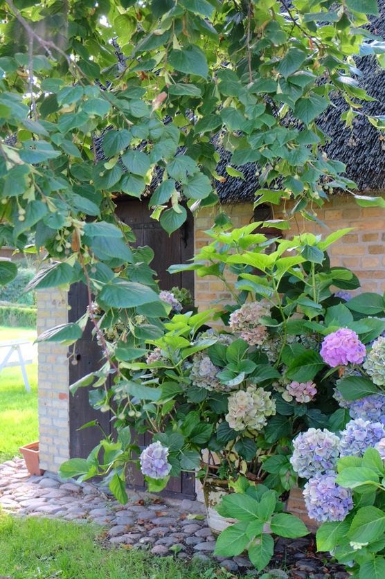 Gerade noch Sommer Gerade noch Sommer