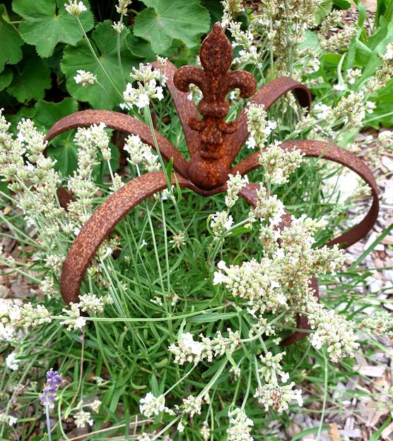 Bild von Minion Bild von Minion