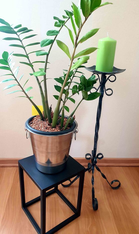 Bild von Minion Bild von Minion