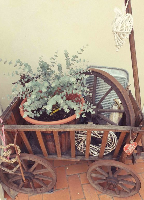 Bild von Minion Bild von Minion