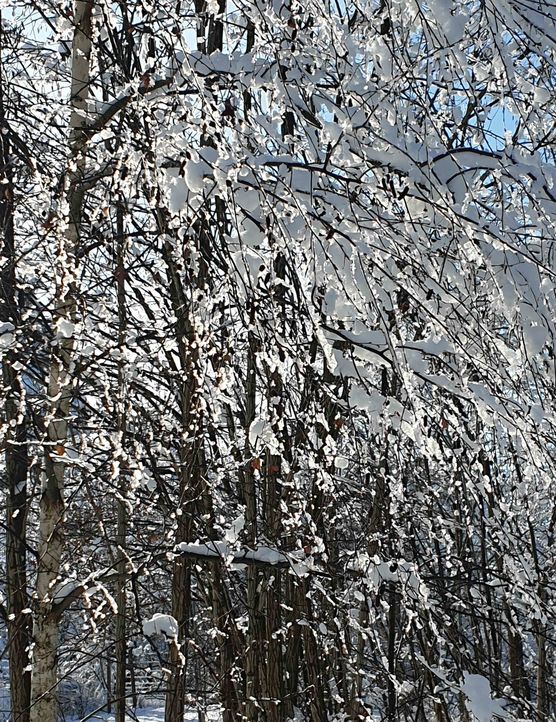 Bild von Natur1980 Bild von Natur1980