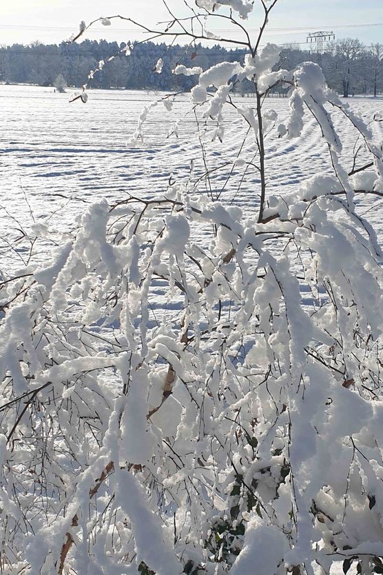 Bild von Natur1980 Bild von Natur1980