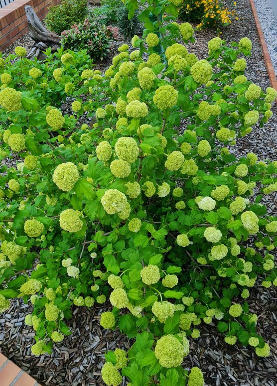 Bild von Natur1980 Bild von Natur1980