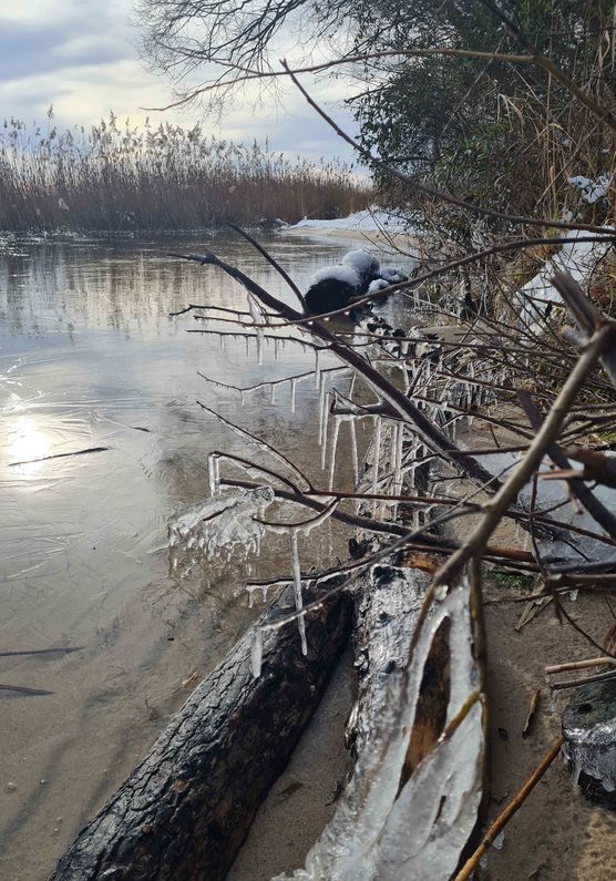 Bild von Natur1980 Bild von Natur1980