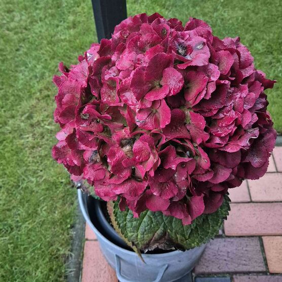 Bild von Natur1980 Bild von Natur1980