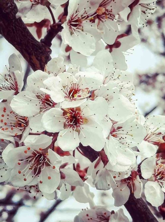 Bild von Herbal.Love Bild von Herbal.Love