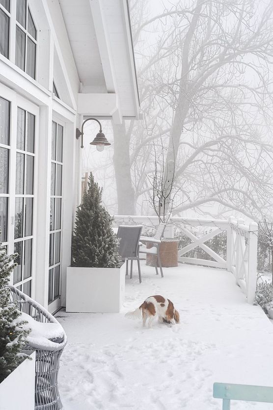 Pünktlich zu Weihnachten hat Pünktlich zu Weihnachten hat