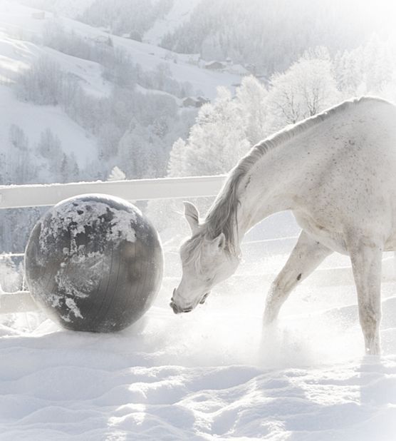 Freudensprünge Freudensprünge