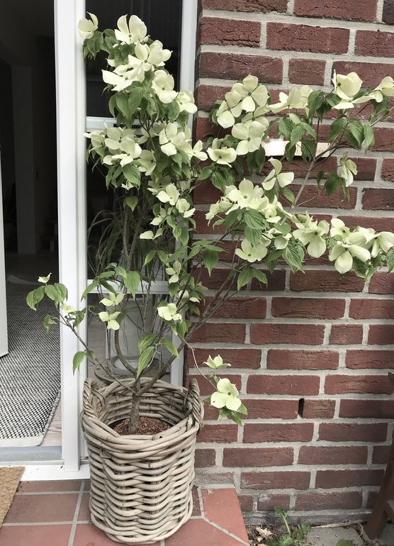 Ich bräuchte nochmal Hilfe Ich bräuchte nochmal Hilfe