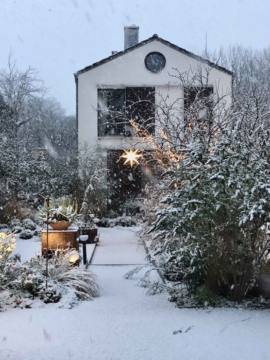 Bild von dieartige Bild von dieartige